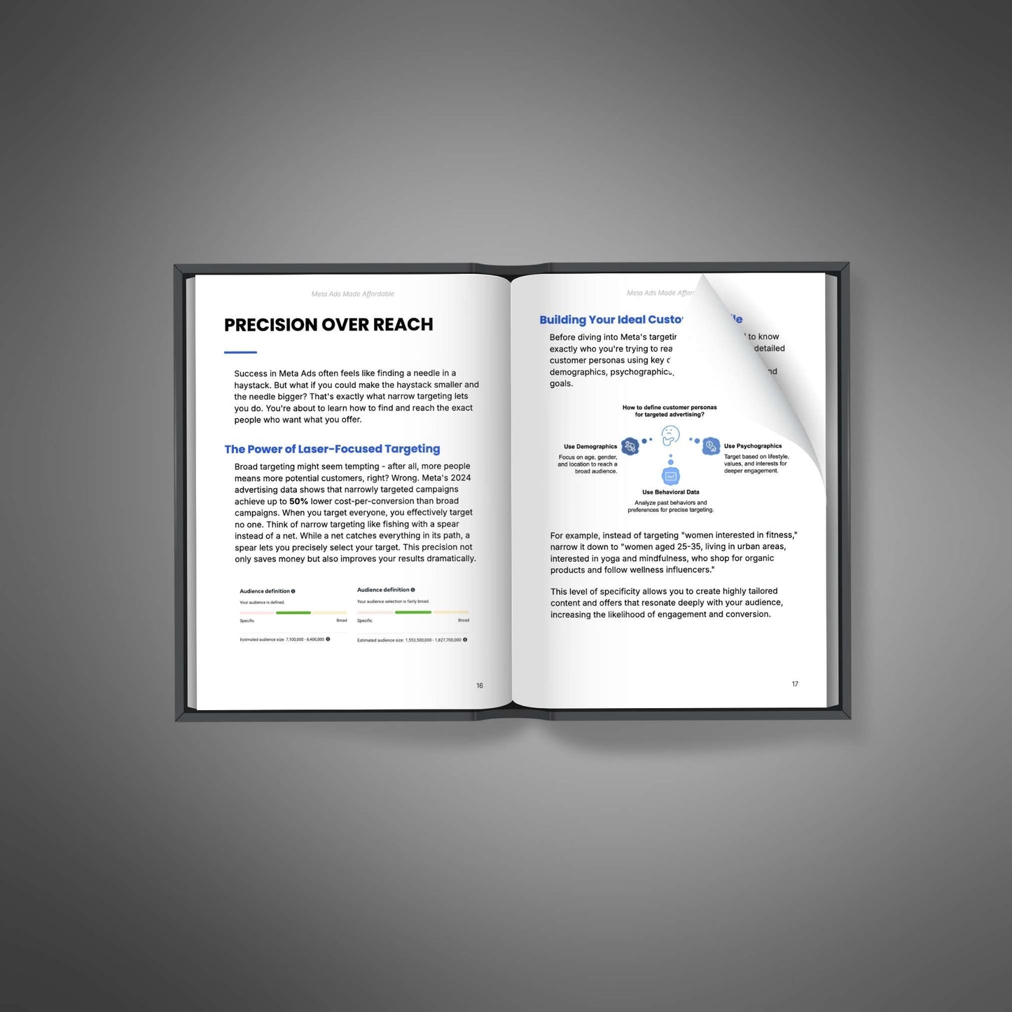 Meta Ads Made Affordable: Maximize ROI on a Budget