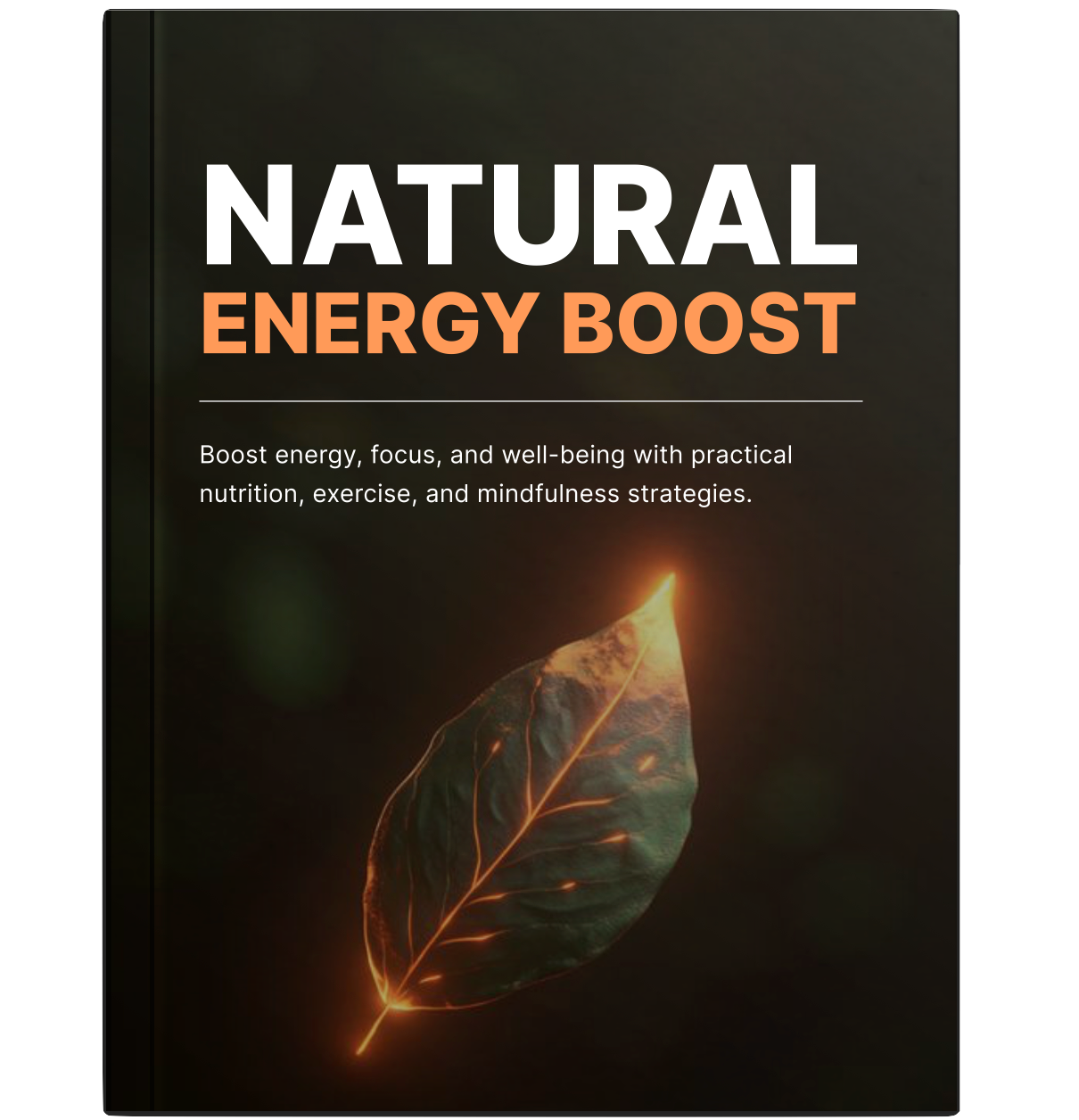 Natural Energy Boost - Bundle