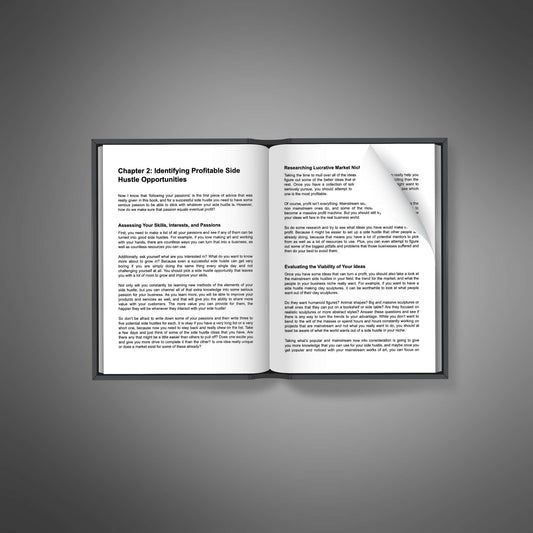The Side Hustlers Blueprint: Free Time into Cash
